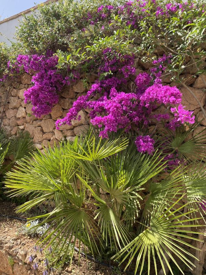 Willa Terraced House In The Mountains With Fantastic View Malaga Zewnętrze zdjęcie